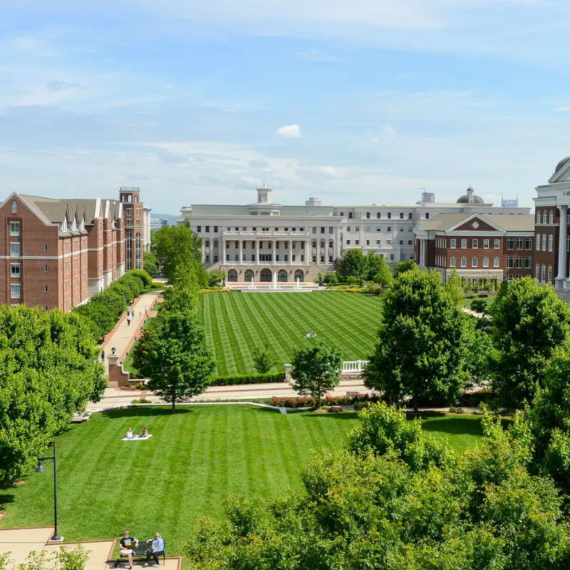 Belmont lawn from above