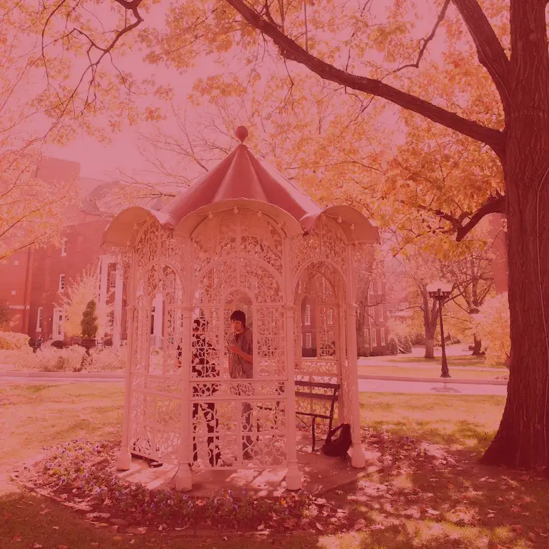 Students in a gazebo on Belmont's historic lawn