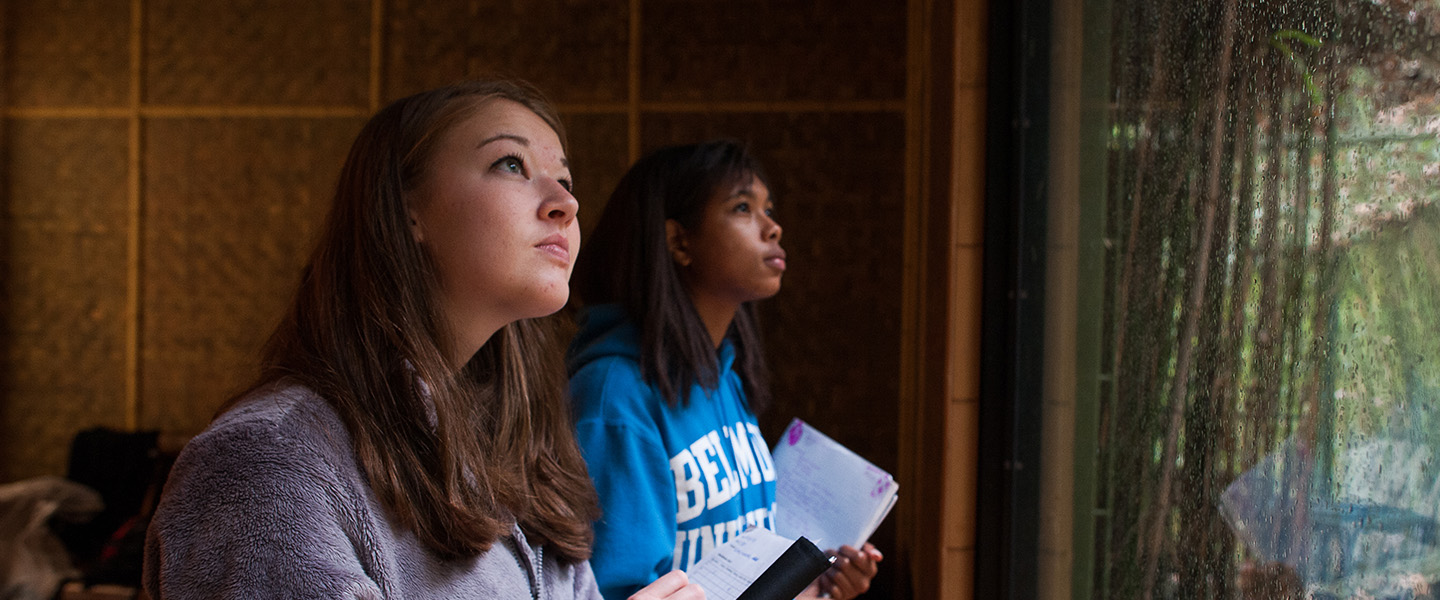 Two female students look up into a zoo exhibit.