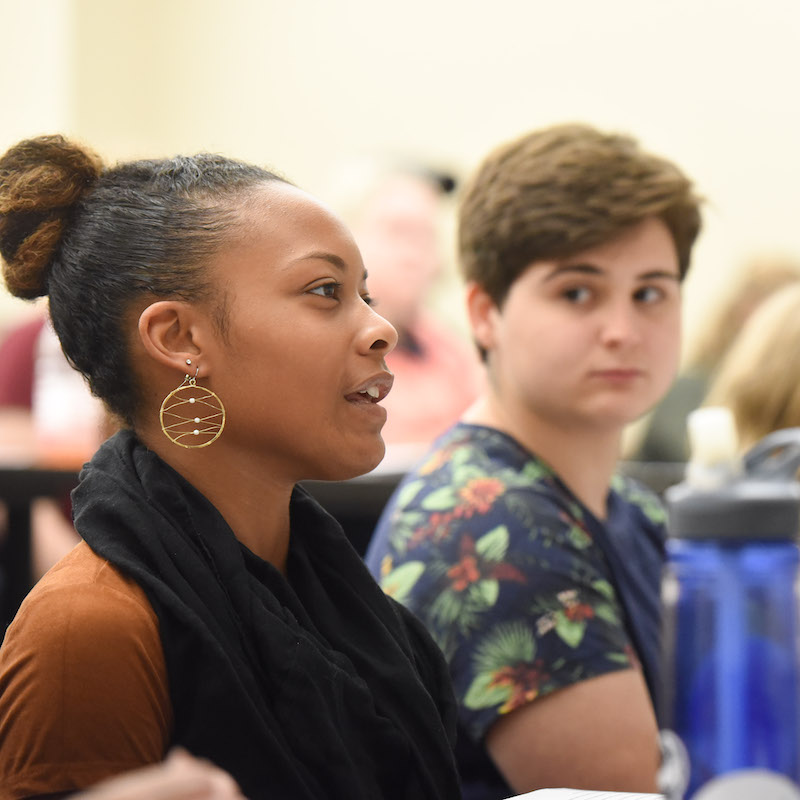 Student participate in class discussion