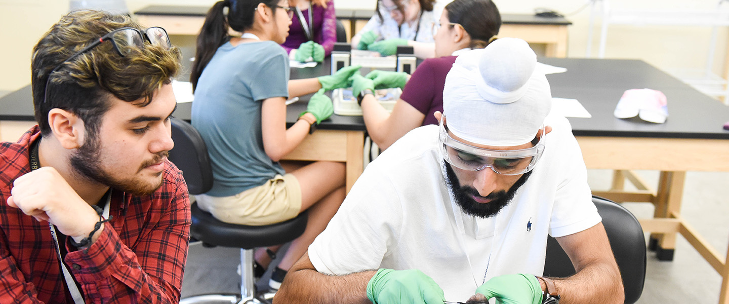 Photo of two male students at a lab table dissecting a brain.