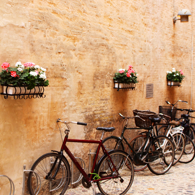 Bikes lined up next to wall outside