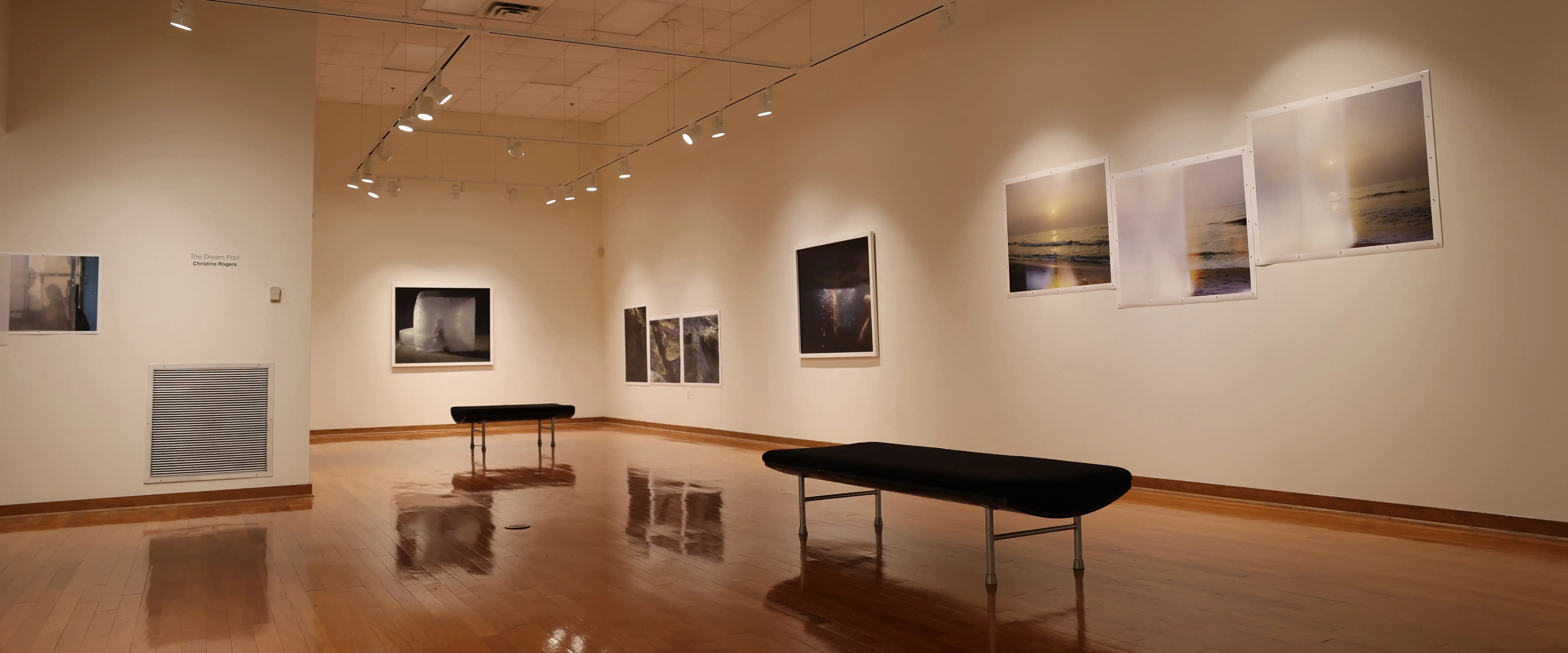 Empty art galley with The Dream Pool (installation) by Christine Rogers displayed on the walls