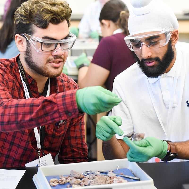 Summer camp students work on a lab assignment