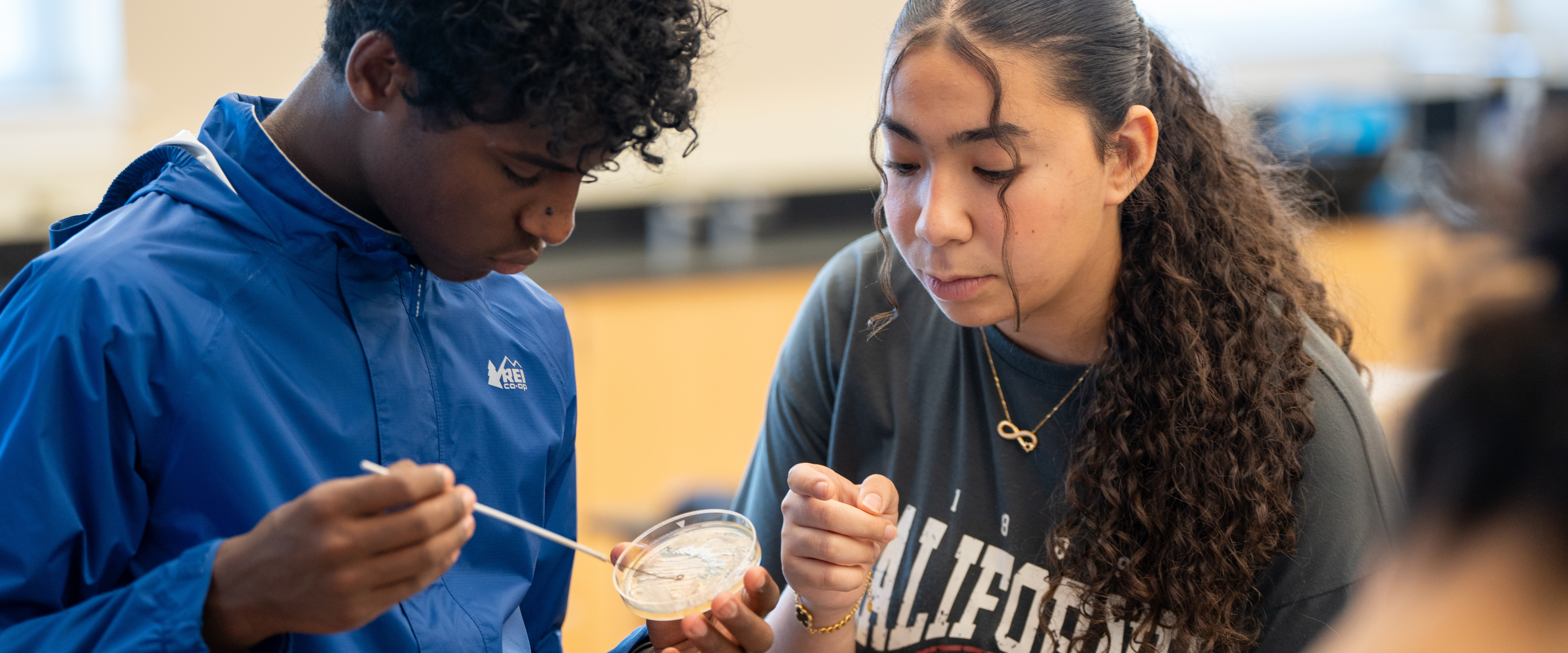 Students putting samples onto a petri dish