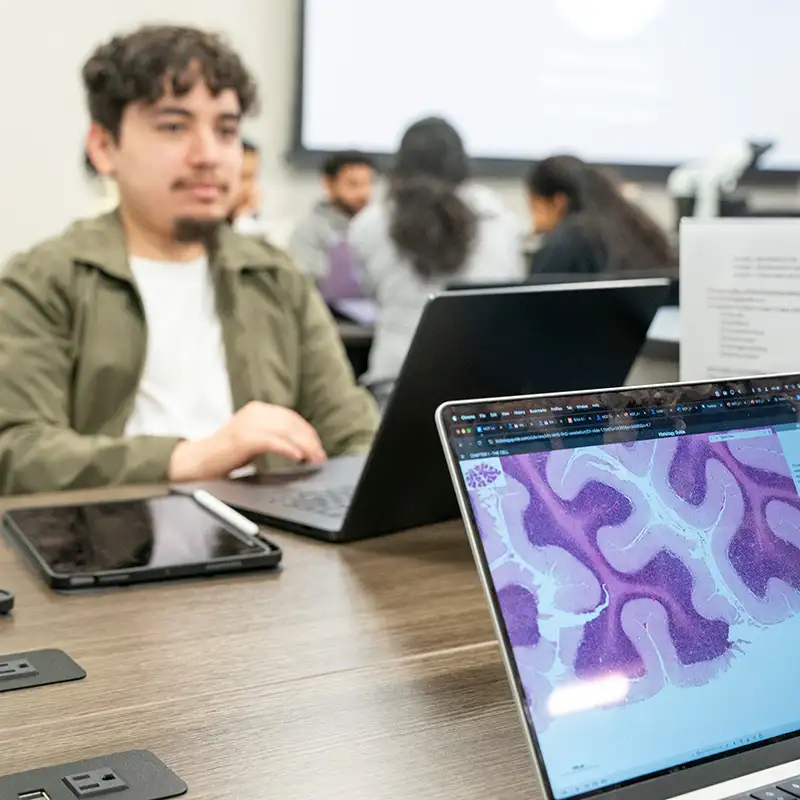 Students Studying cells in class on laptops