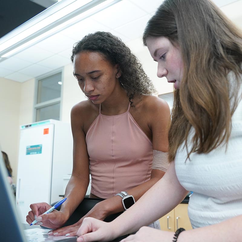 Students working on a research assignment during the SURFs summer programs