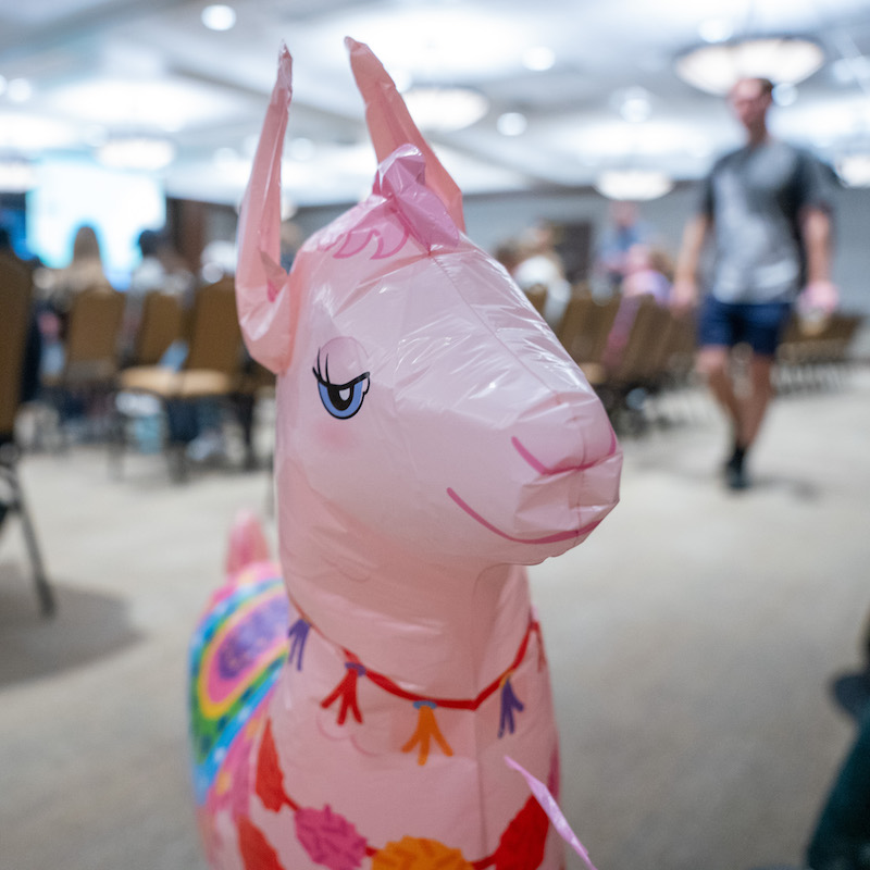 Close up of inflatable comedy llama