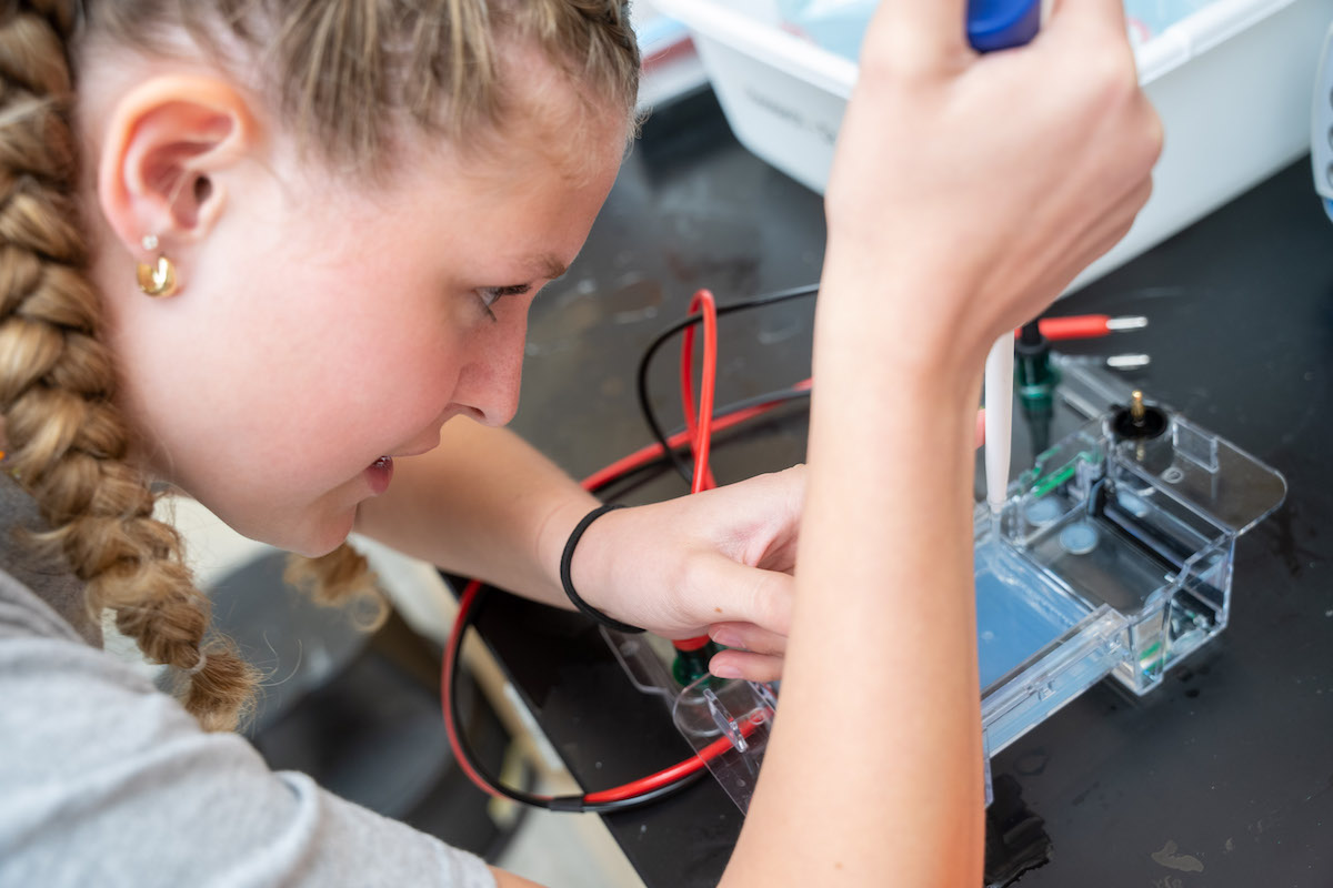 student working in the lab