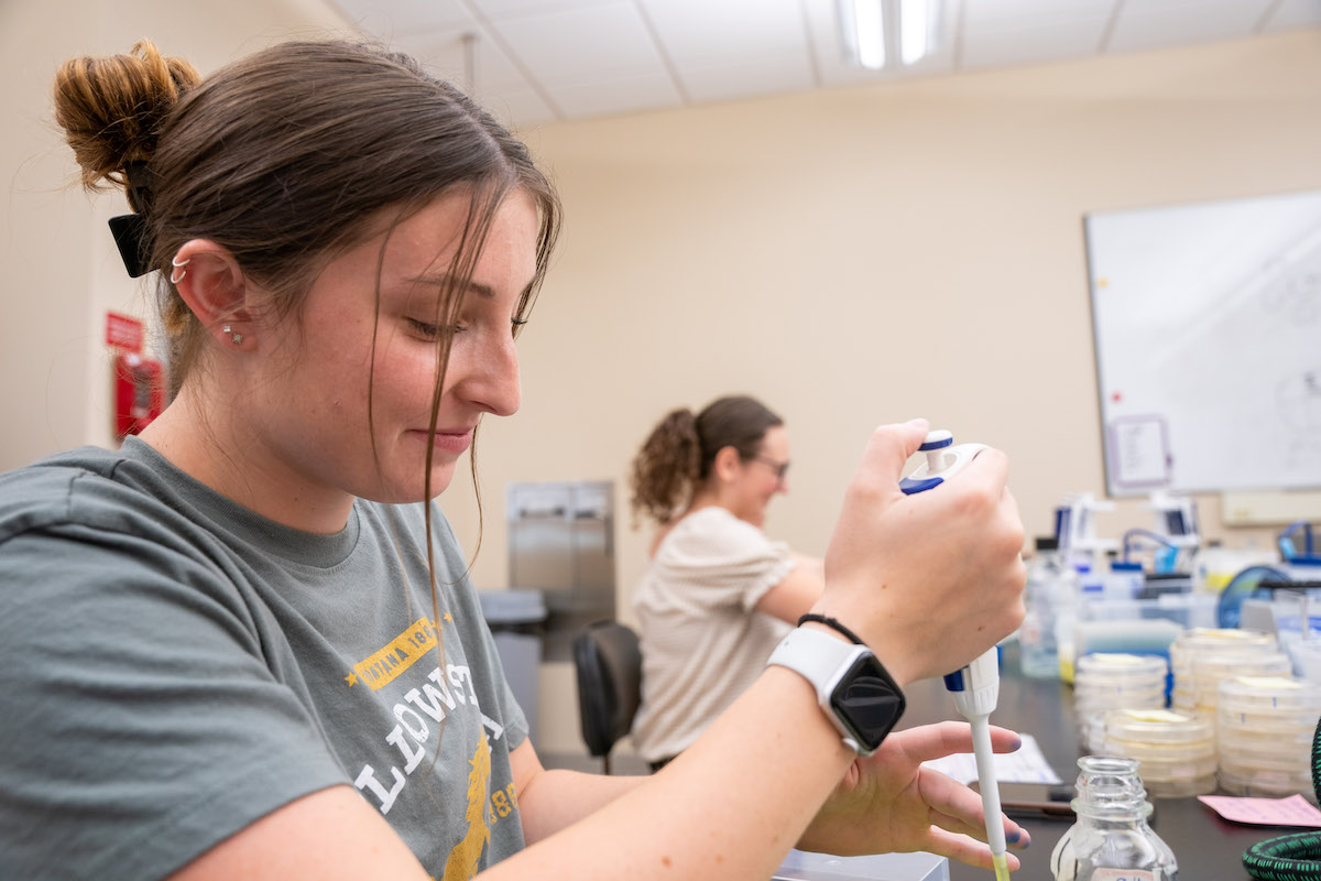 student working in the lab