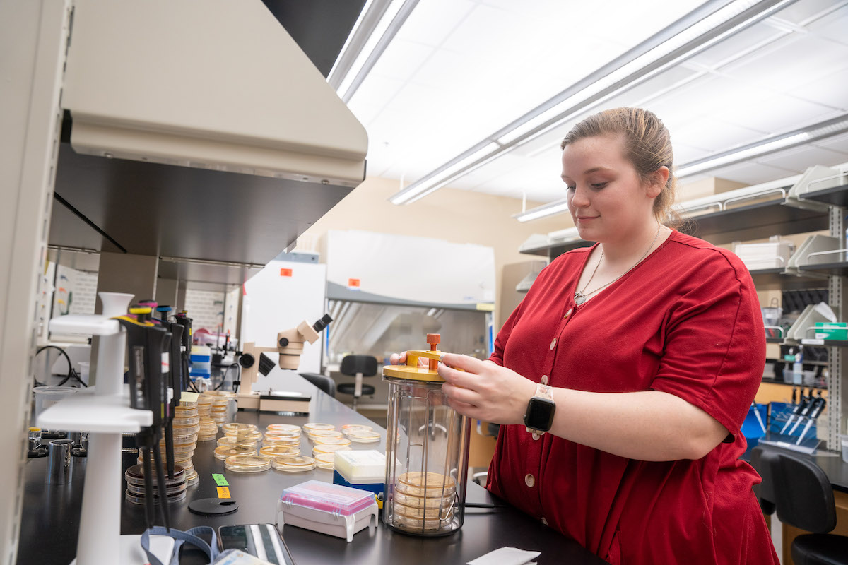 student working in the lab