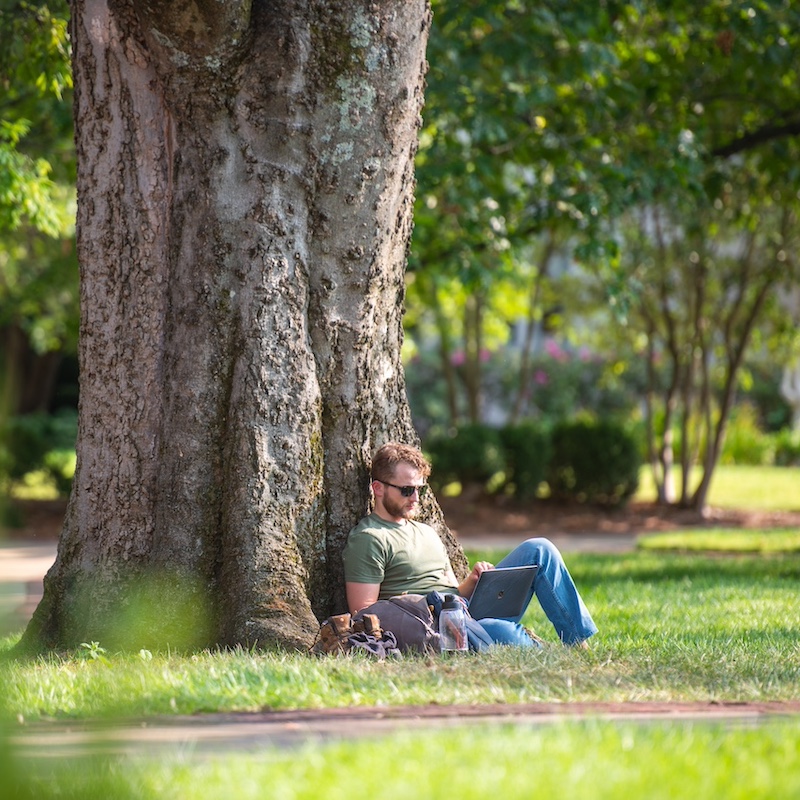 student sitting under a tree