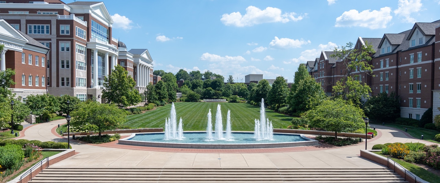 fountain and the lawn