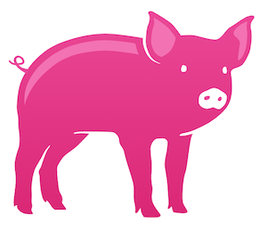 bright pink pig Raise logo