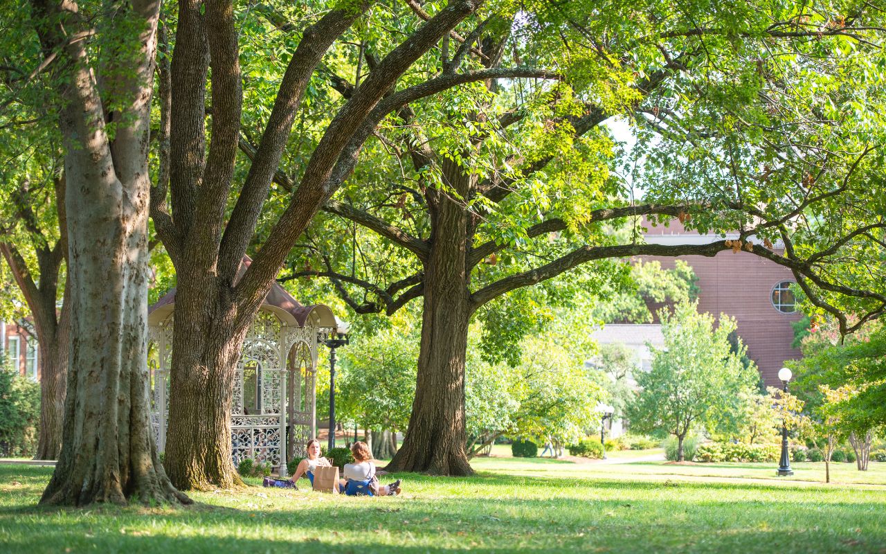 Two students sit underneath tall trees on Belmont's North Lawn