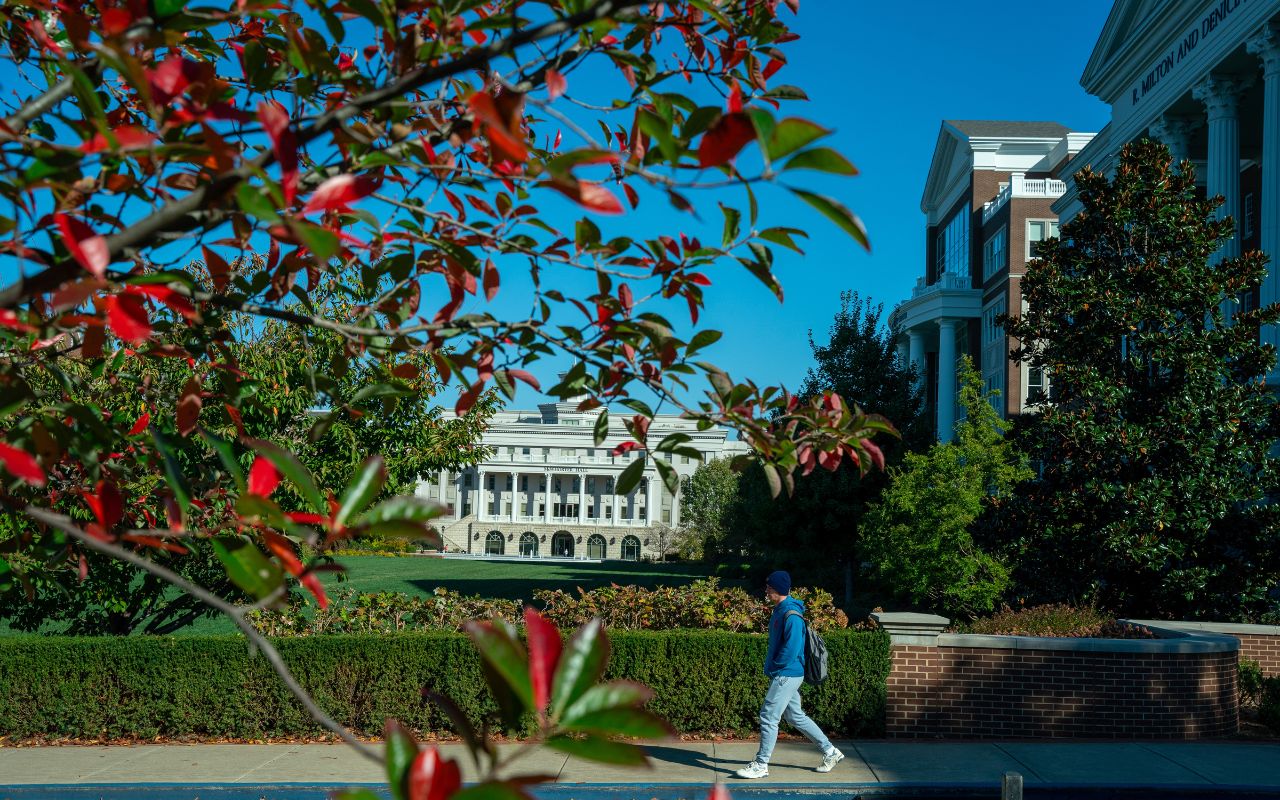 Belmont's south campus with trees covered in red flowers