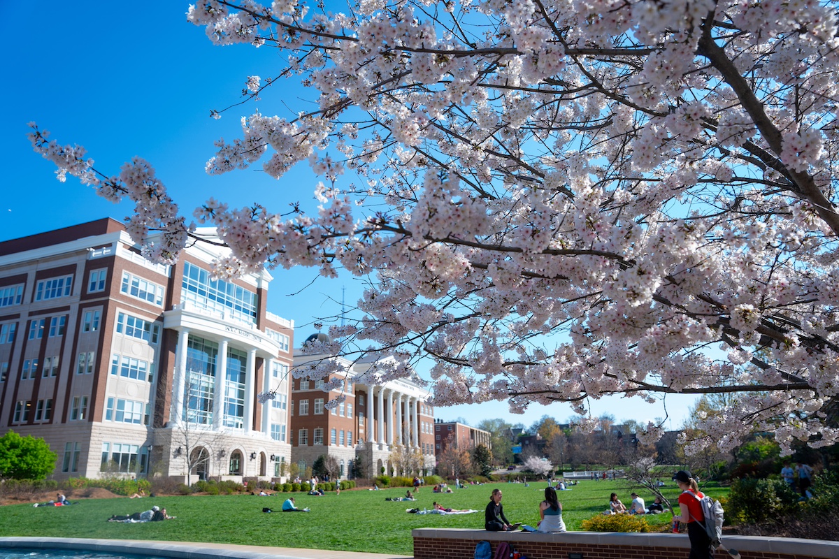 Belmont students on the main lawn in front of the Jack C. Massey Center