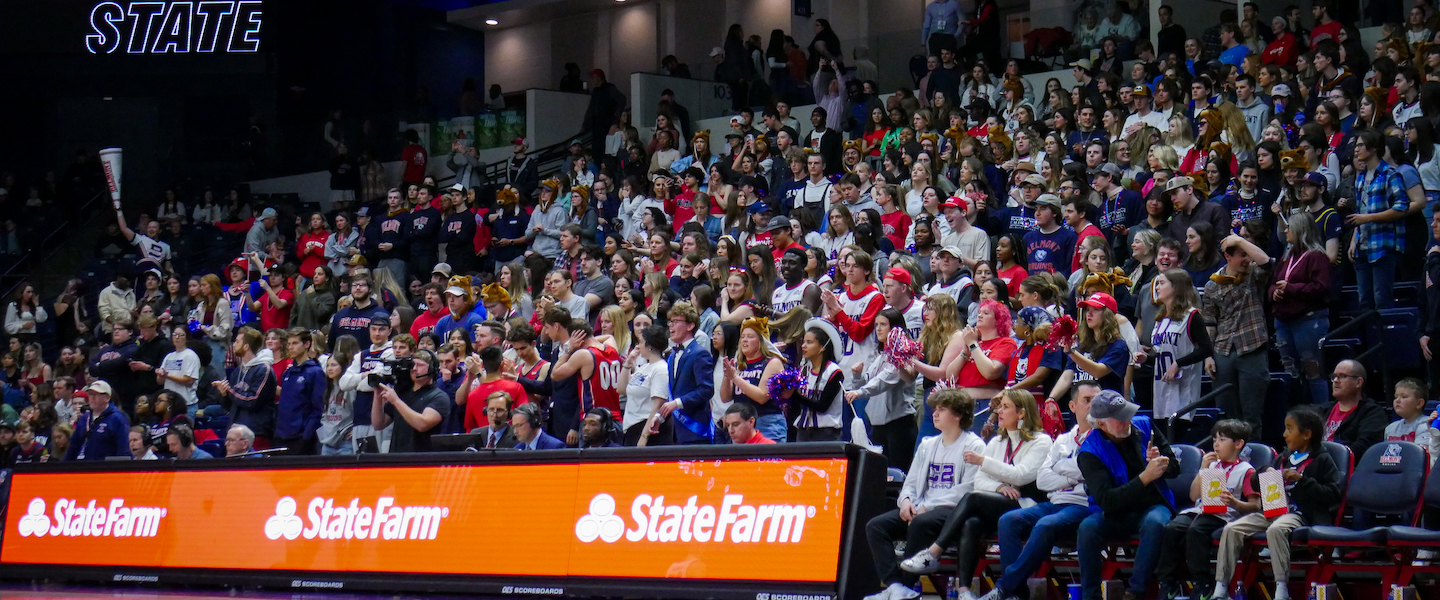 Basketball crowd